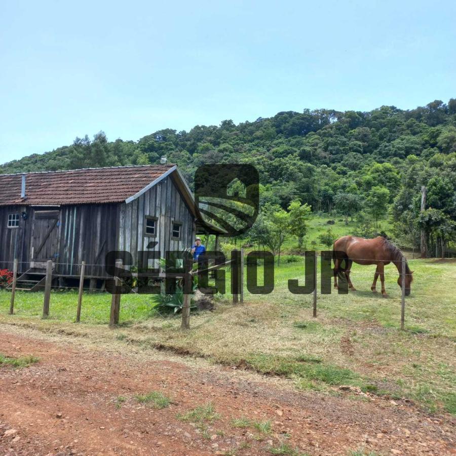 Chácara à venda com 2 quartos, 31700m² - Foto 28