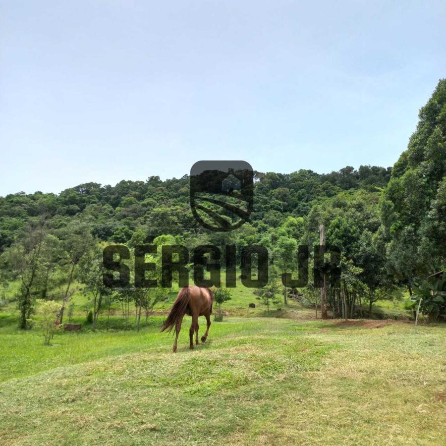 Chácara à venda com 2 quartos, 31700m² - Foto 29