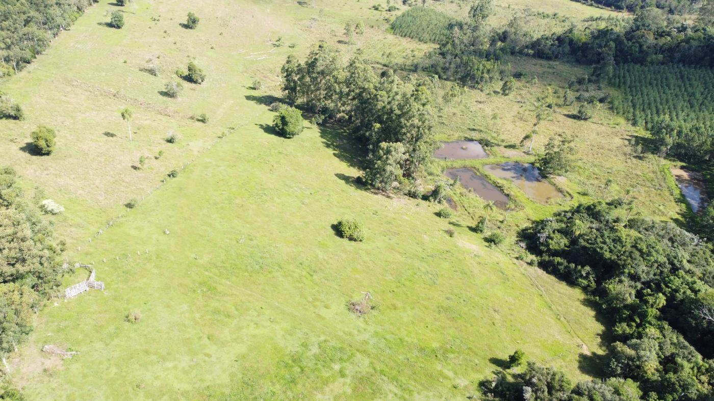 Chácara à venda, 30000m² - Foto 3