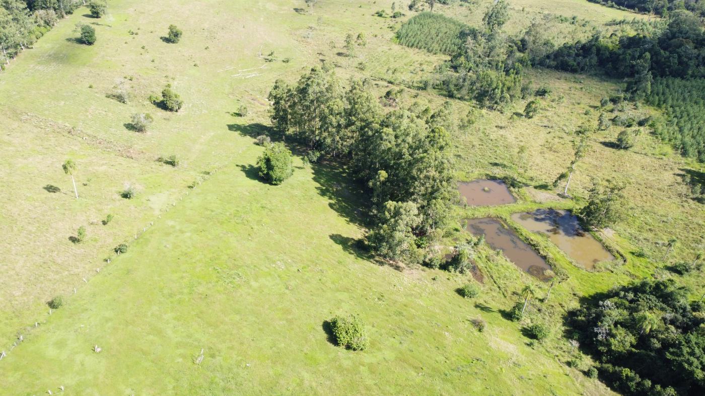 Chácara à venda, 30000m² - Foto 4