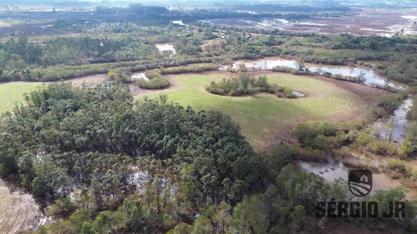 Chácara à venda com 1 quarto, 149540m² - Foto 4