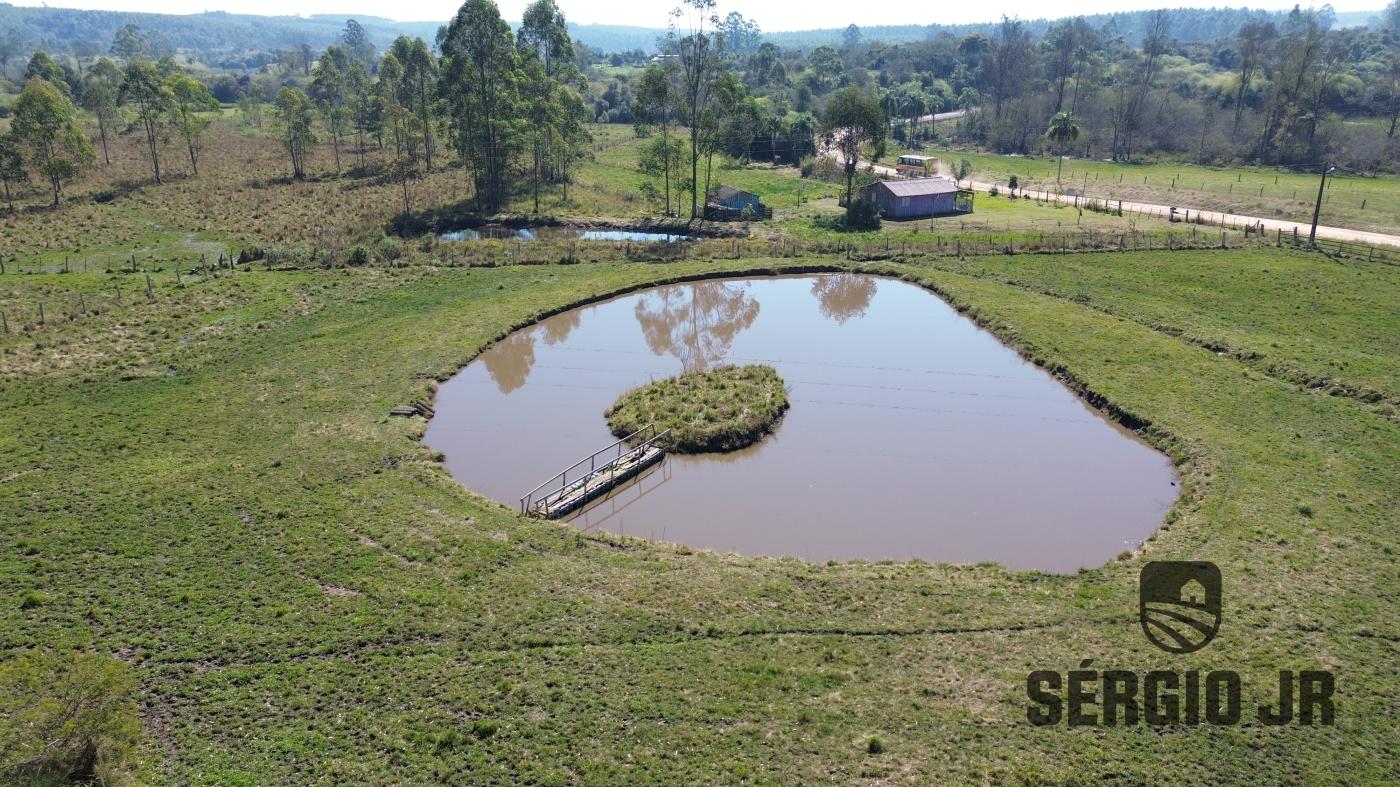 Chácara à venda com 4 quartos, 35000m² - Foto 14