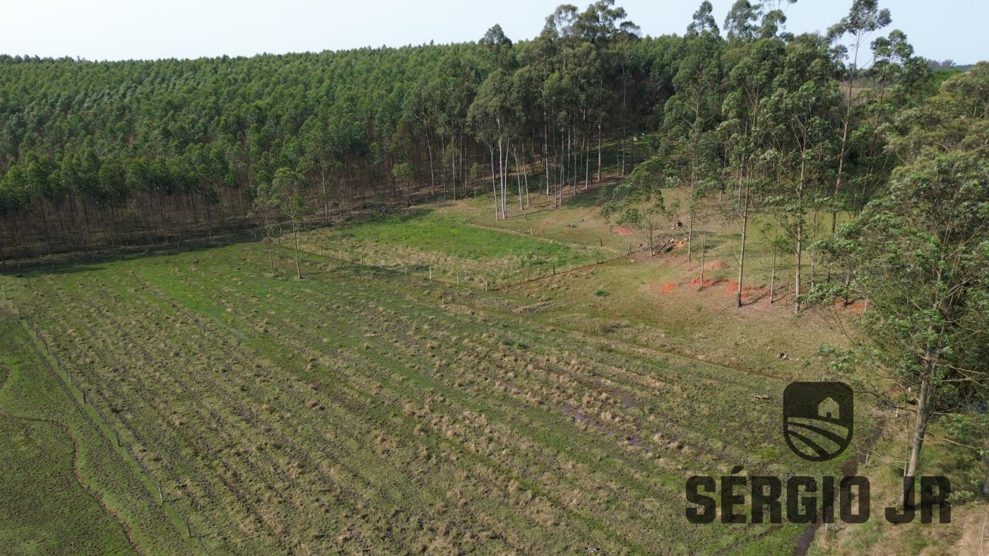 Chácara à venda com 3 quartos, 30000m² - Foto 4