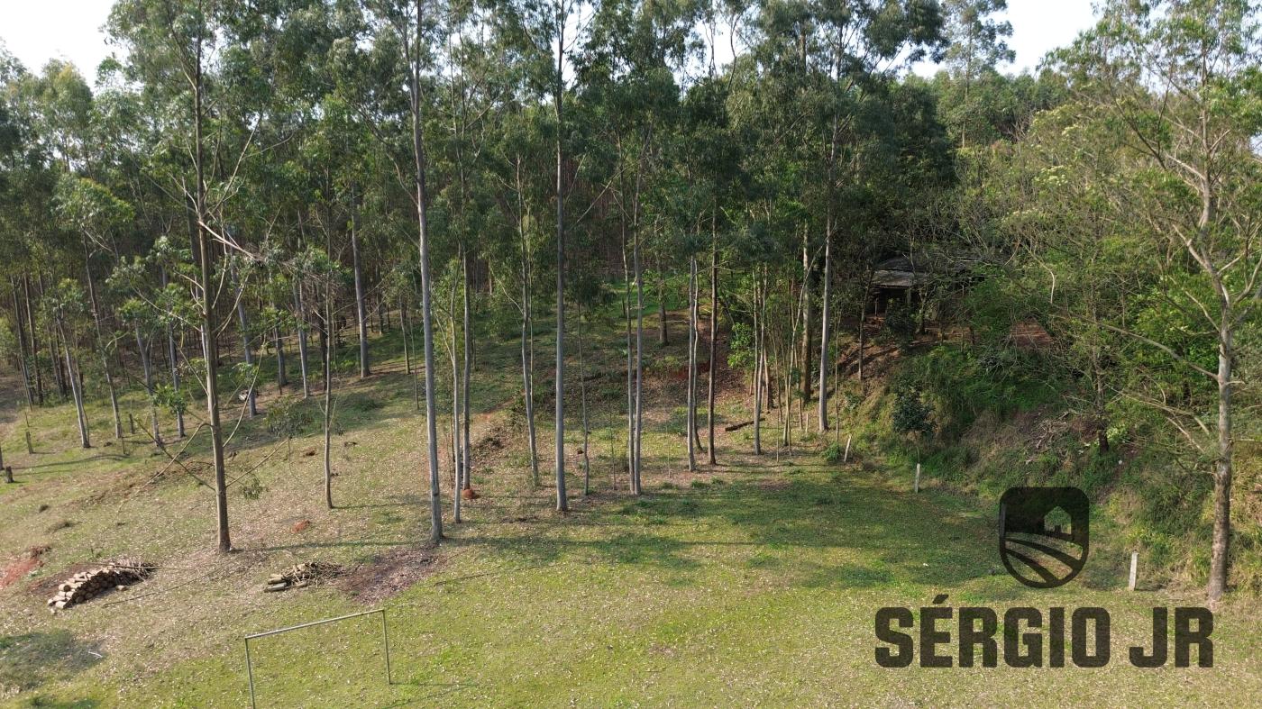 Chácara à venda com 3 quartos, 30000m² - Foto 6