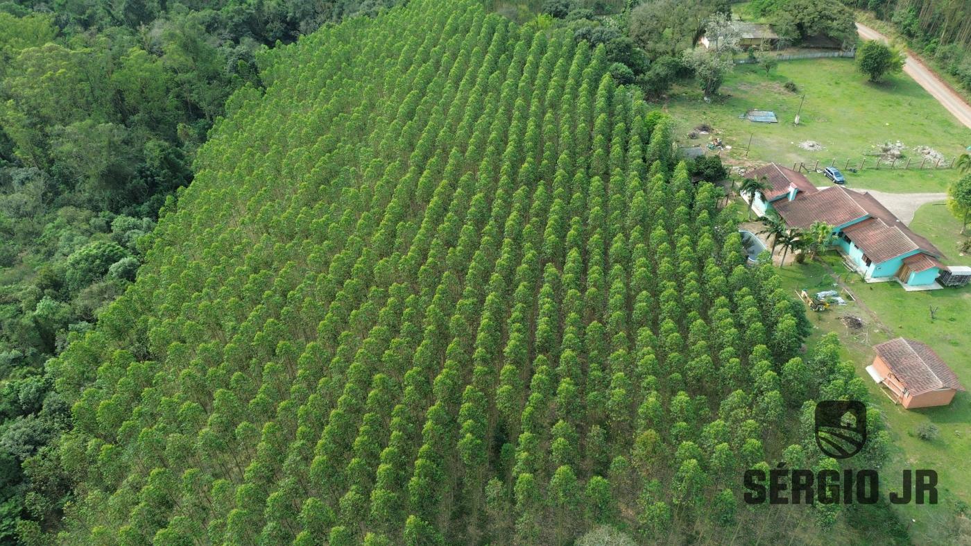 Chácara à venda com 5 quartos, 20000m² - Foto 3