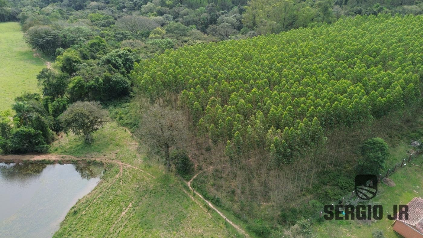 Chácara à venda com 5 quartos, 20000m² - Foto 14