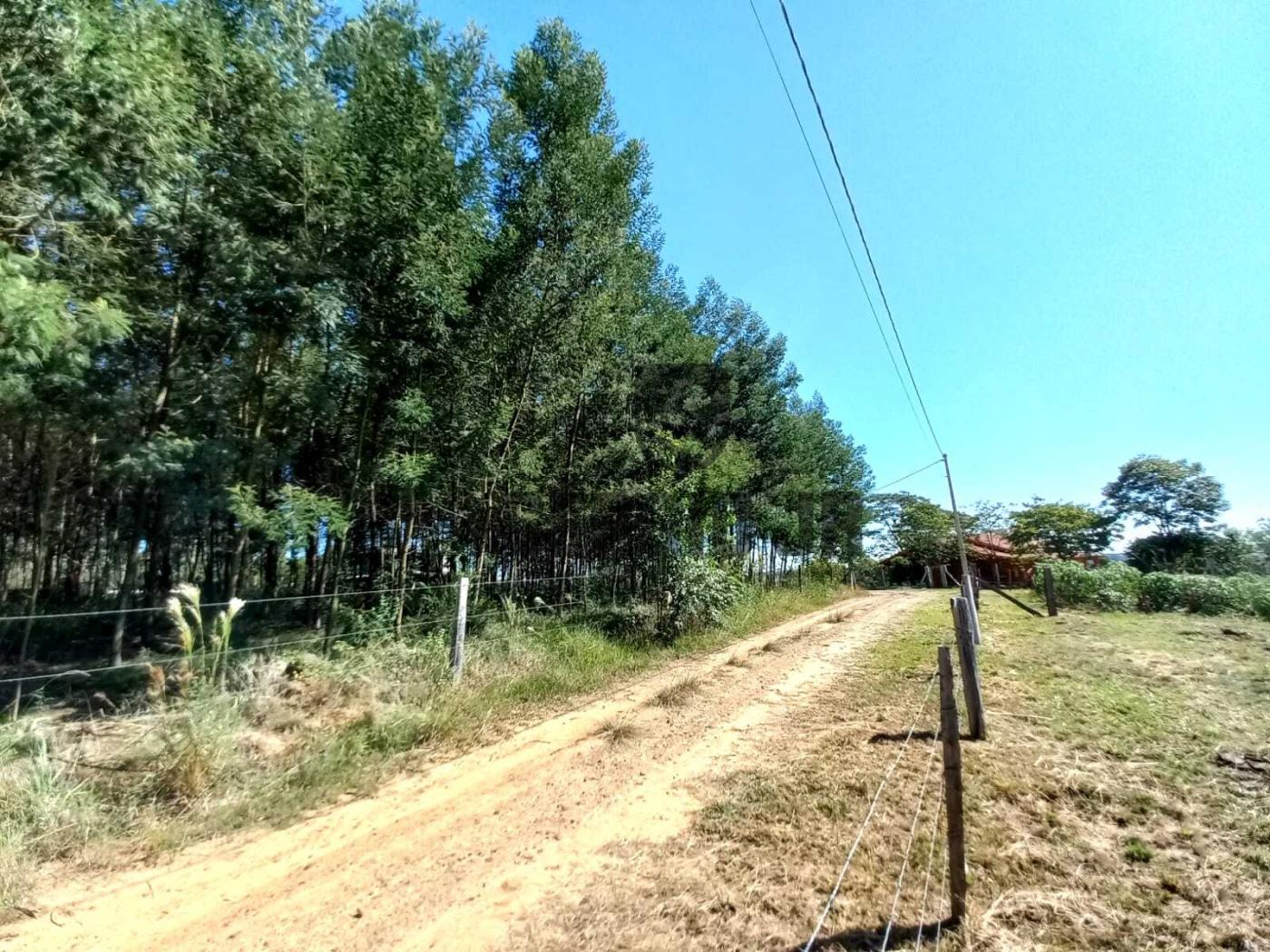 Terreno à venda, 1000m² - Foto 14