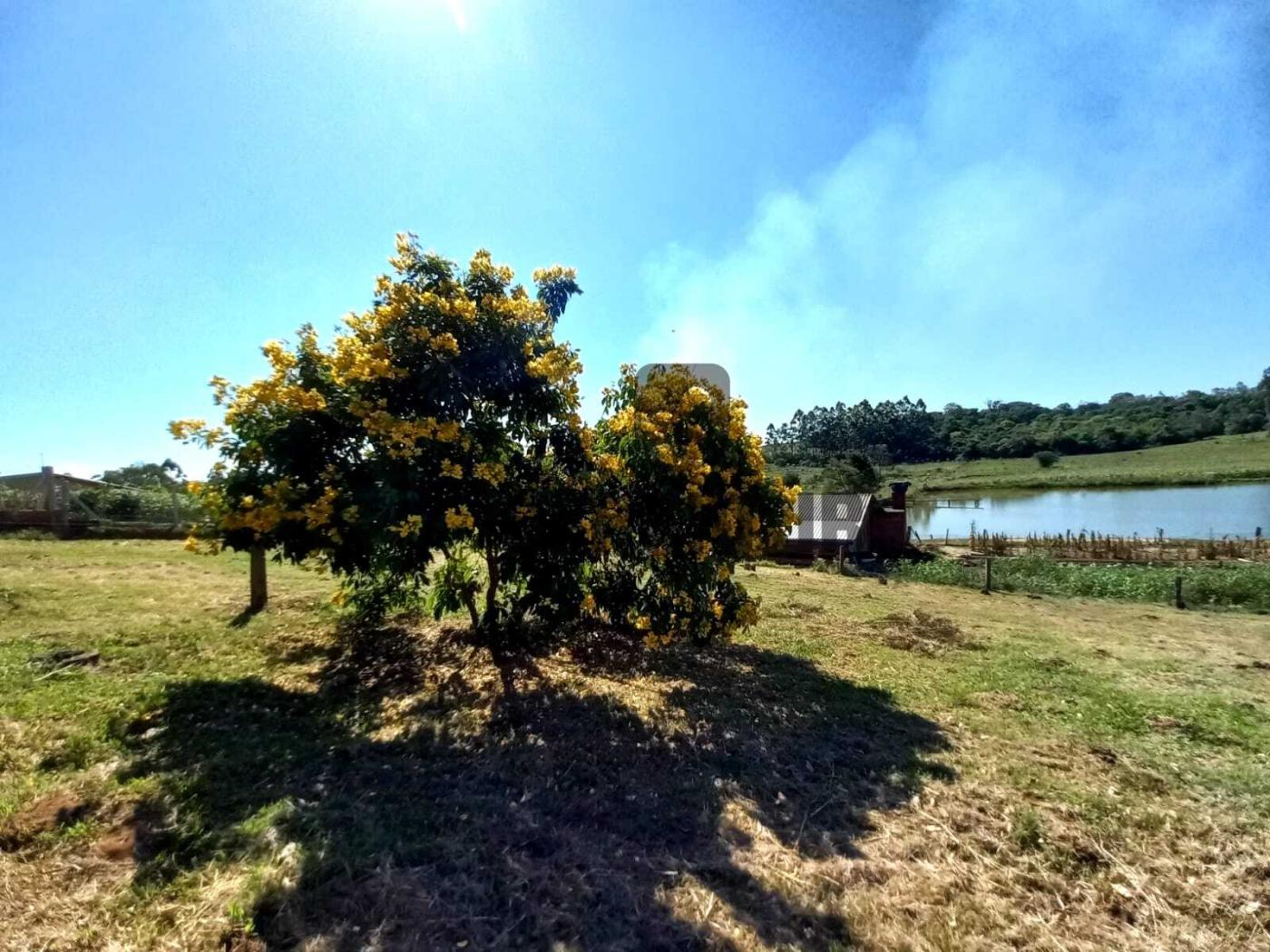 Terreno à venda, 1000m² - Foto 16