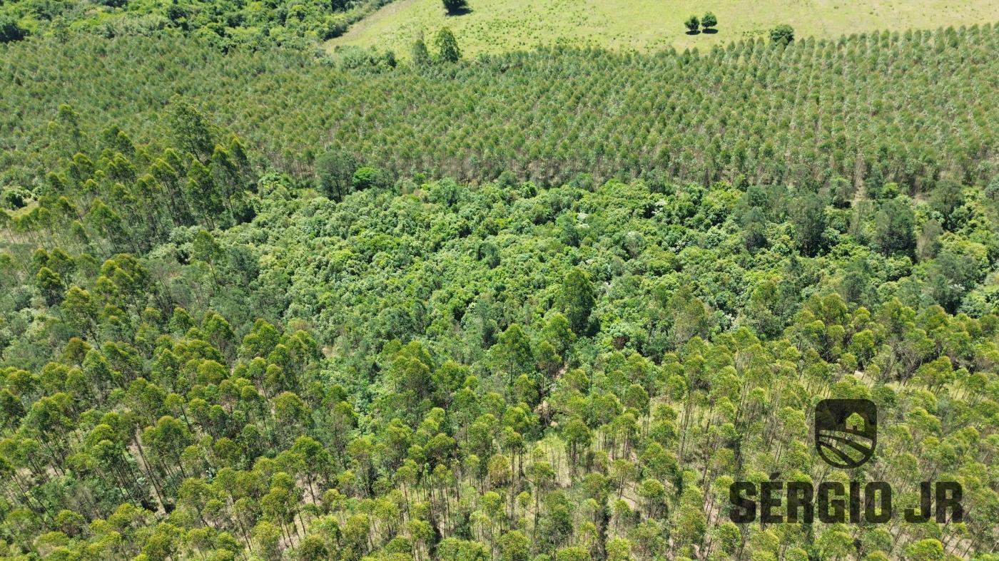 Loteamento e Condomínio à venda, 40000m² - Foto 6