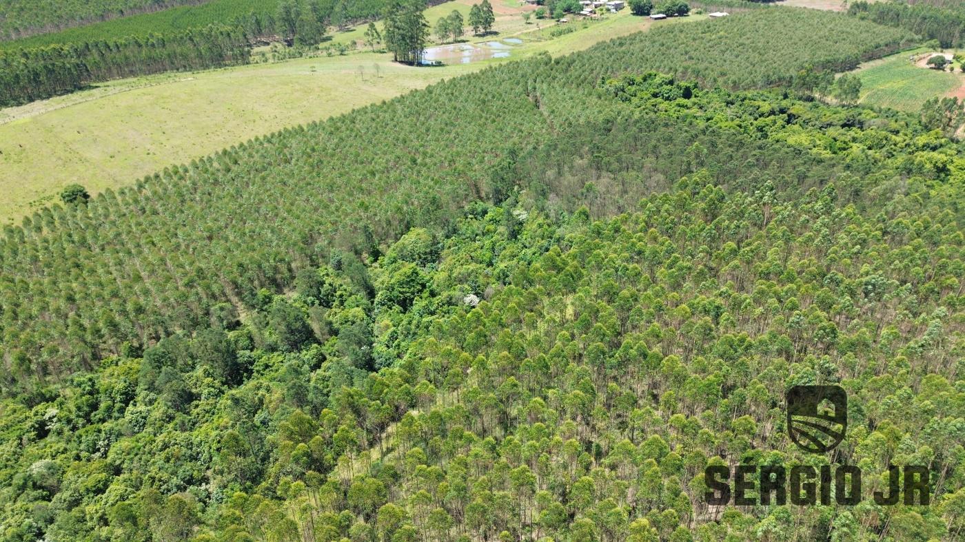 Loteamento e Condomínio à venda, 40000m² - Foto 7