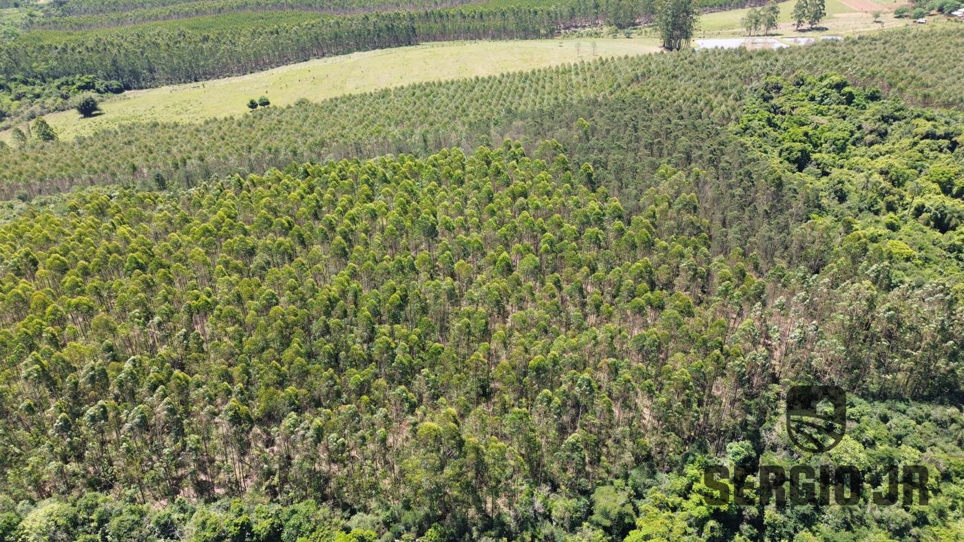 Loteamento e Condomínio à venda, 40000m² - Foto 8