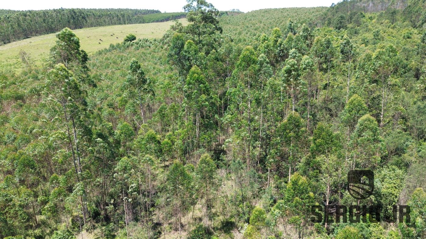 Loteamento e Condomínio à venda, 40000m² - Foto 14