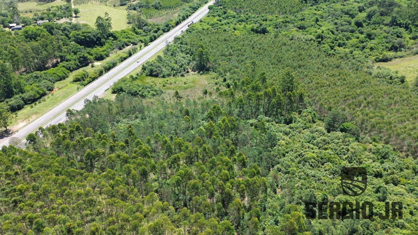 Loteamento e Condomínio à venda, 40000m² - Foto 19