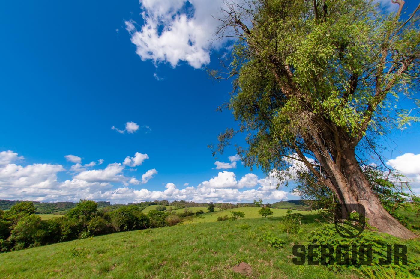 Chácara à venda com 4 quartos, 960000m² - Foto 2