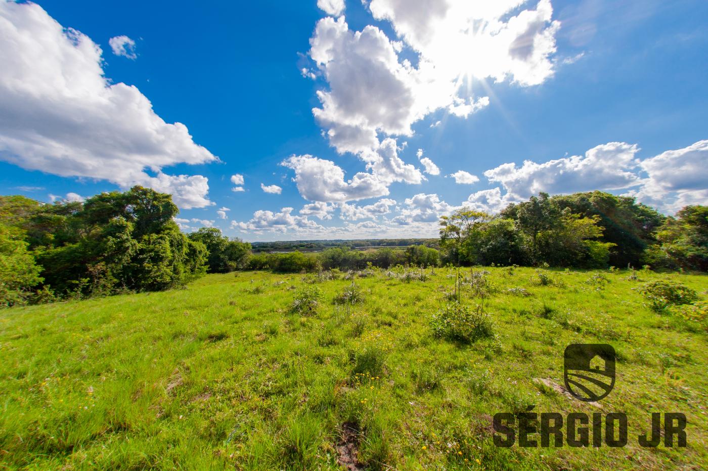 Chácara à venda com 4 quartos, 960000m² - Foto 3