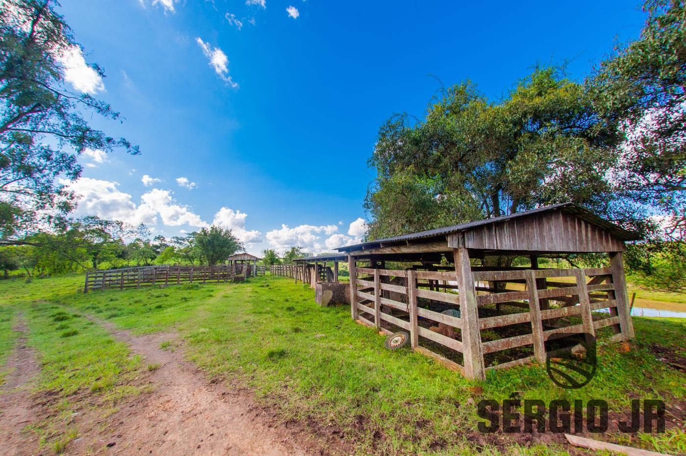 Chácara à venda com 4 quartos, 960000m² - Foto 15