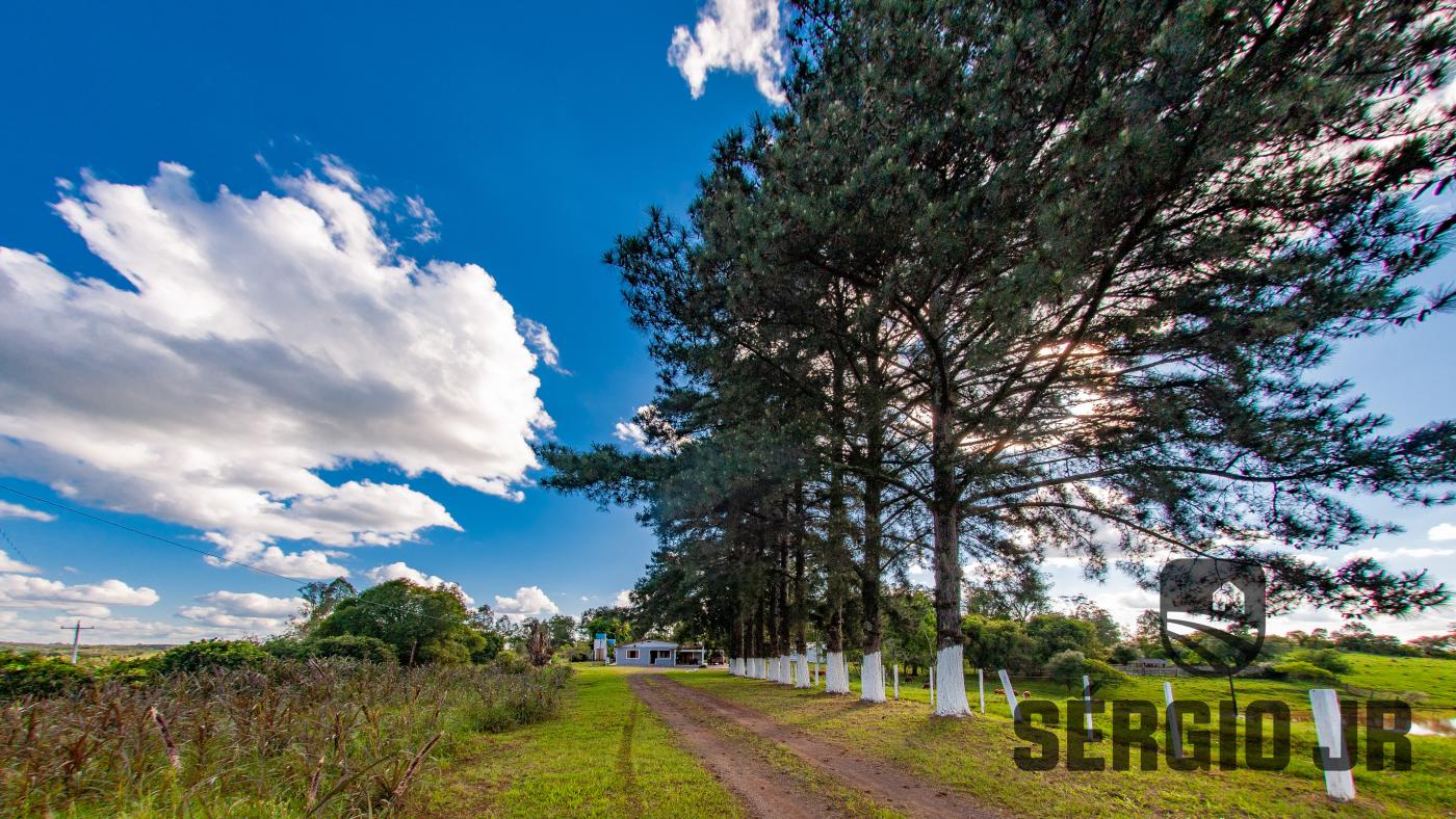 Chácara à venda com 4 quartos, 960000m² - Foto 17