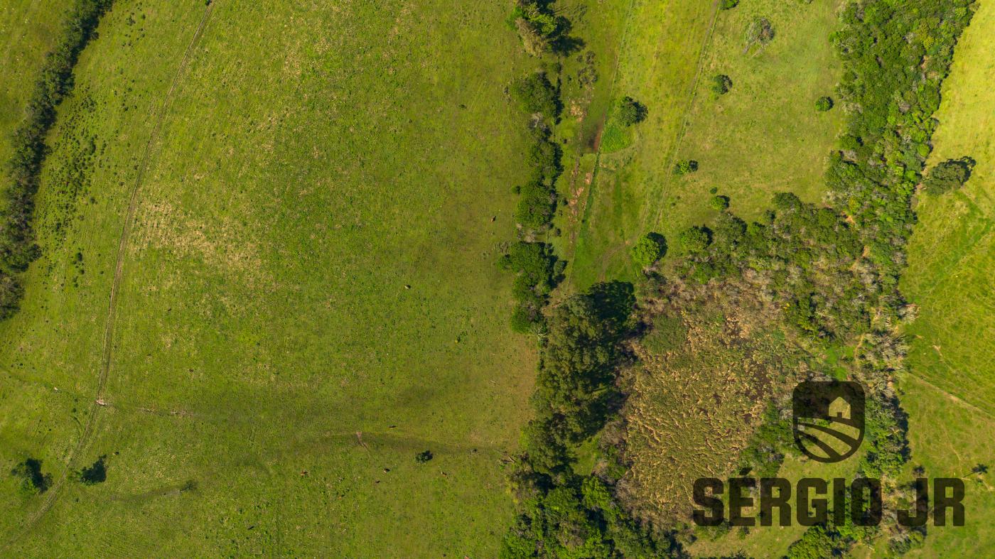 Chácara à venda com 4 quartos, 960000m² - Foto 20