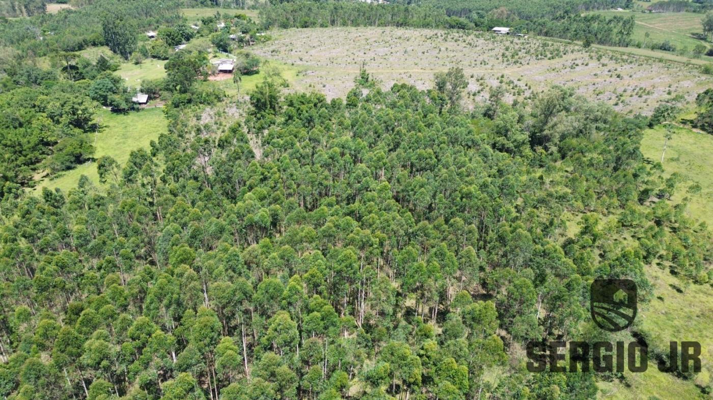 Loteamento e Condomínio à venda, 176000m² - Foto 4