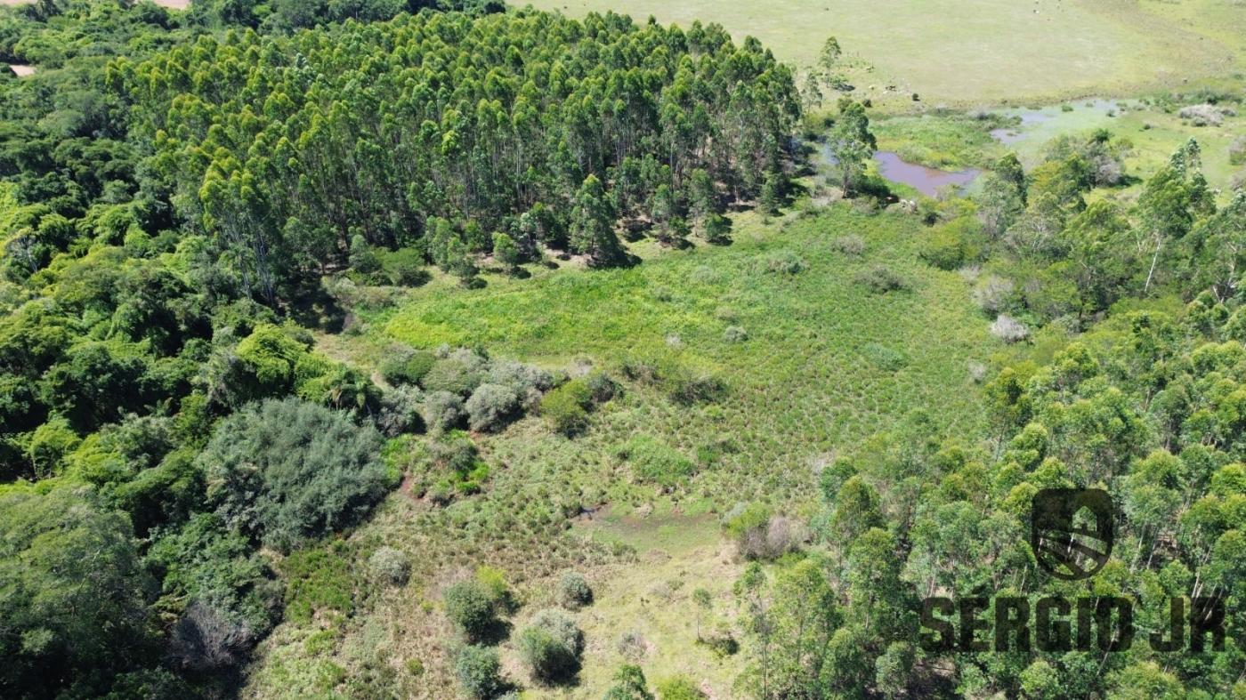 Loteamento e Condomínio à venda, 176000m² - Foto 3