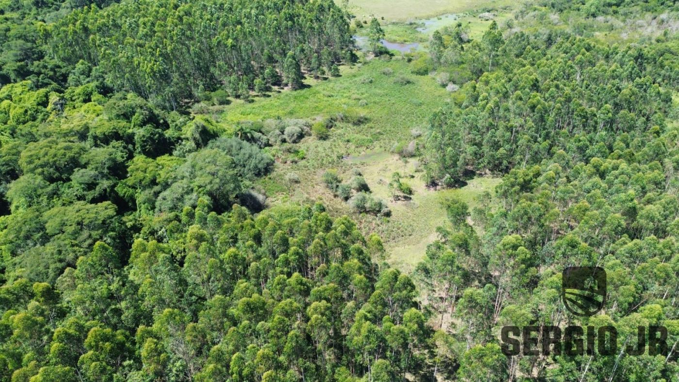 Loteamento e Condomínio à venda, 176000m² - Foto 8