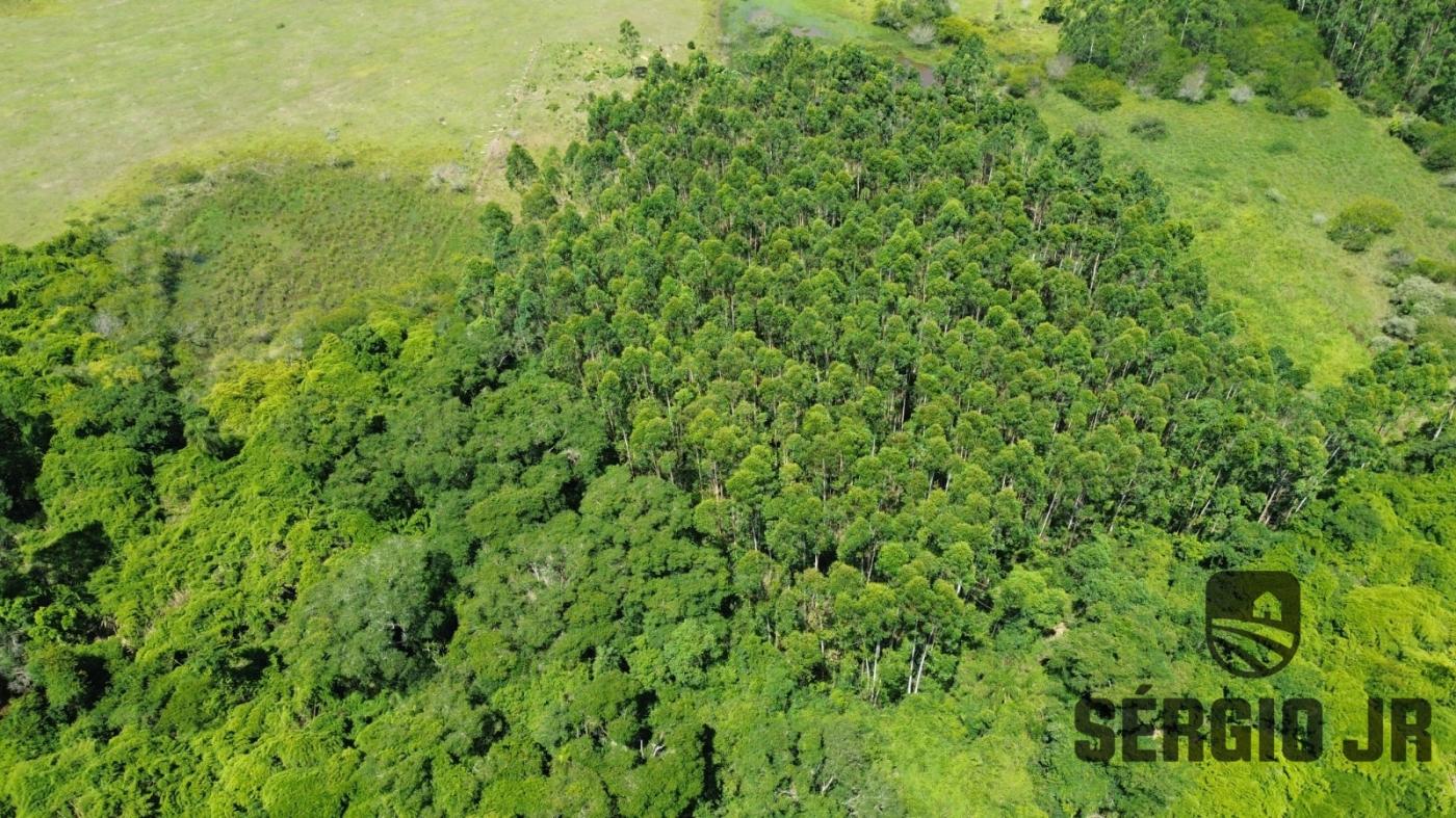 Loteamento e Condomínio à venda, 176000m² - Foto 9