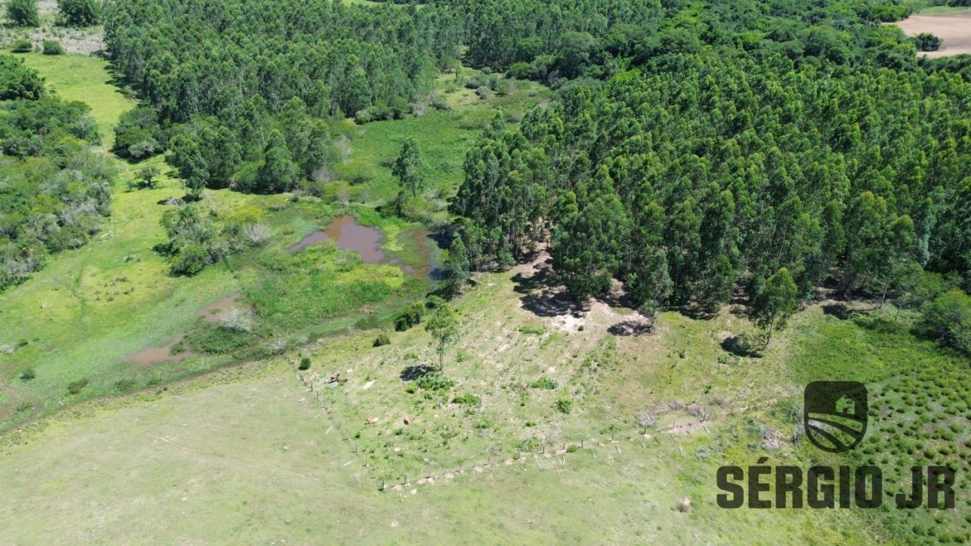 Loteamento e Condomínio à venda, 176000m² - Foto 10