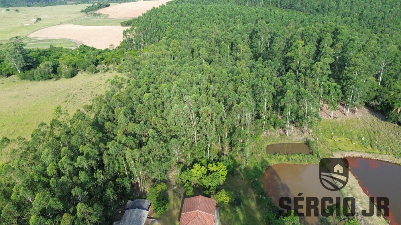 Chácara à venda com 2 quartos, 30000m² - Foto 2