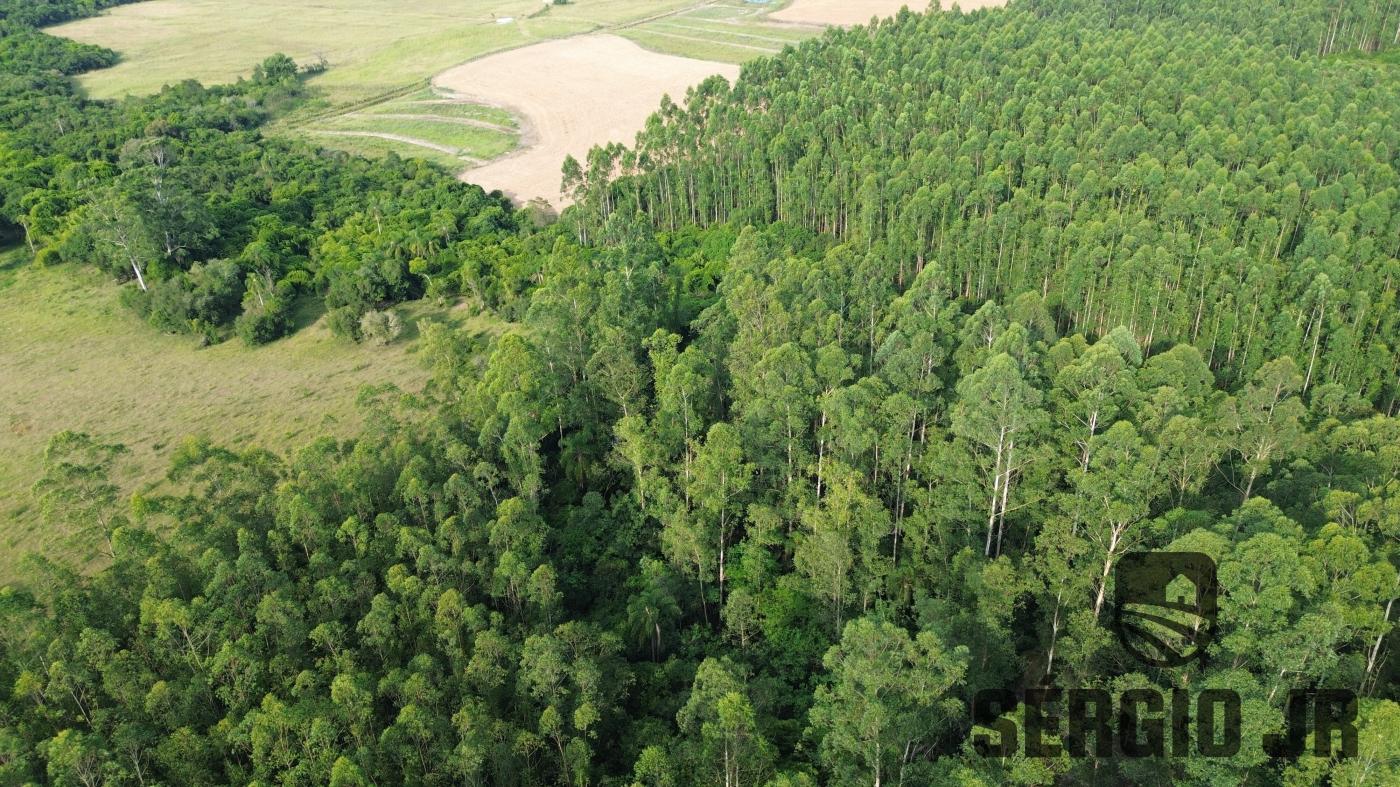 Chácara à venda com 2 quartos, 30000m² - Foto 8