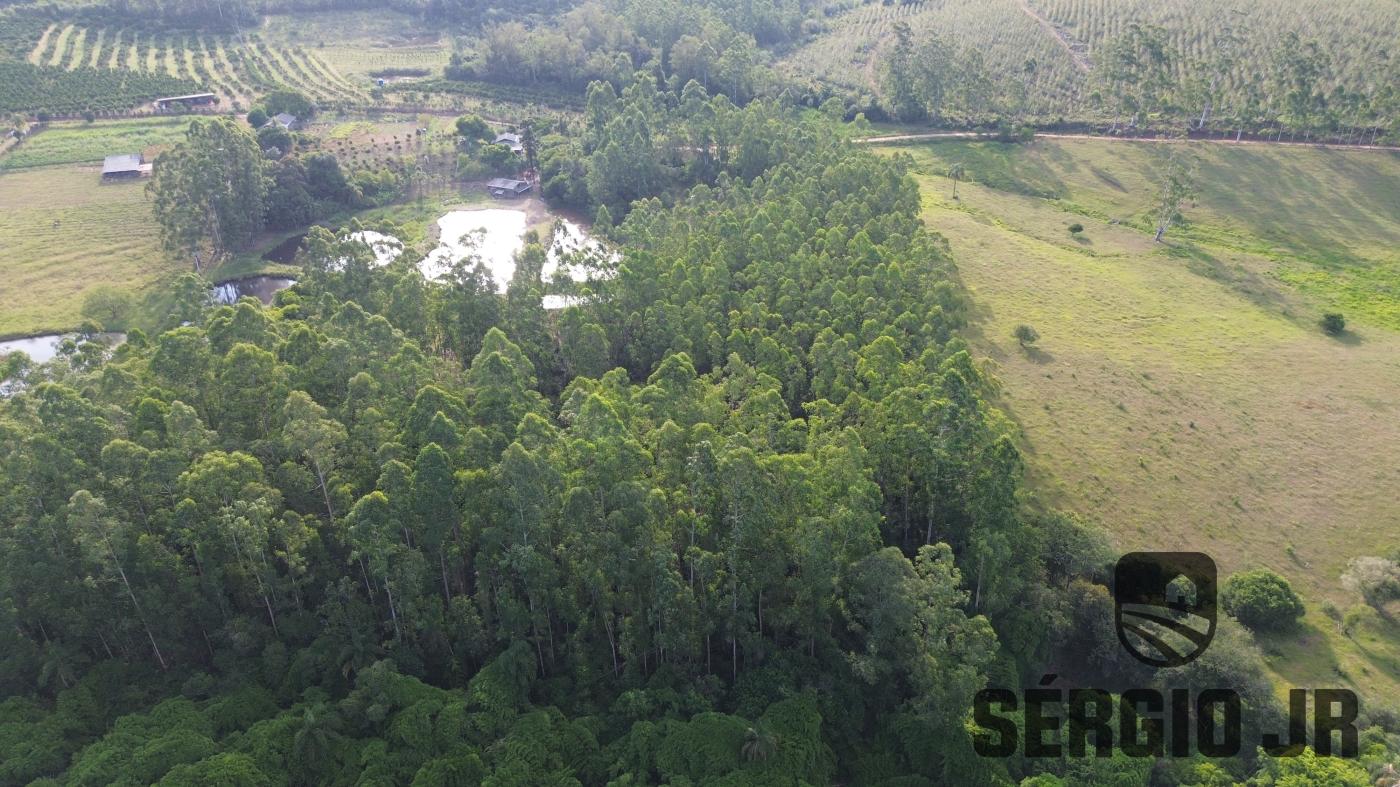 Chácara à venda com 2 quartos, 30000m² - Foto 9