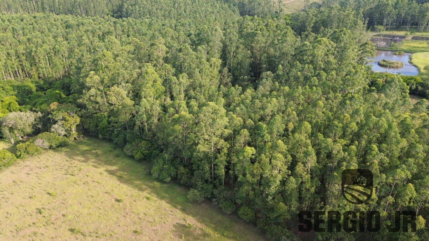 Chácara à venda com 2 quartos, 30000m² - Foto 12