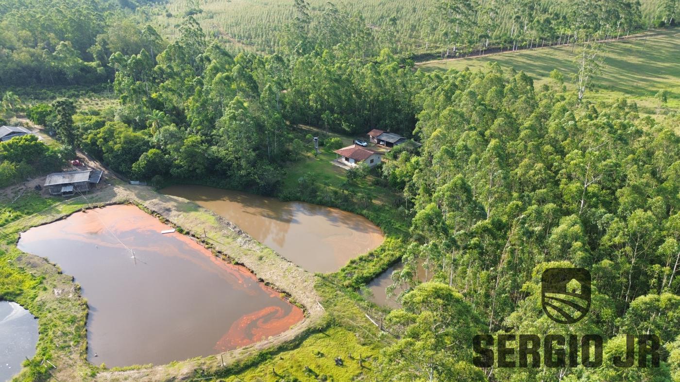 Chácara à venda com 2 quartos, 30000m² - Foto 23