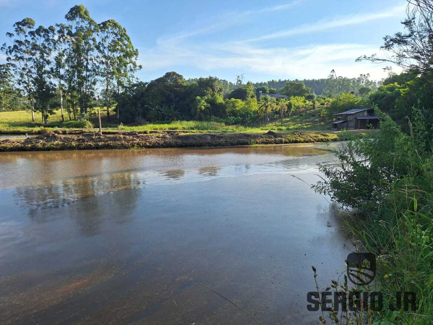 Chácara à venda com 2 quartos, 30000m² - Foto 38