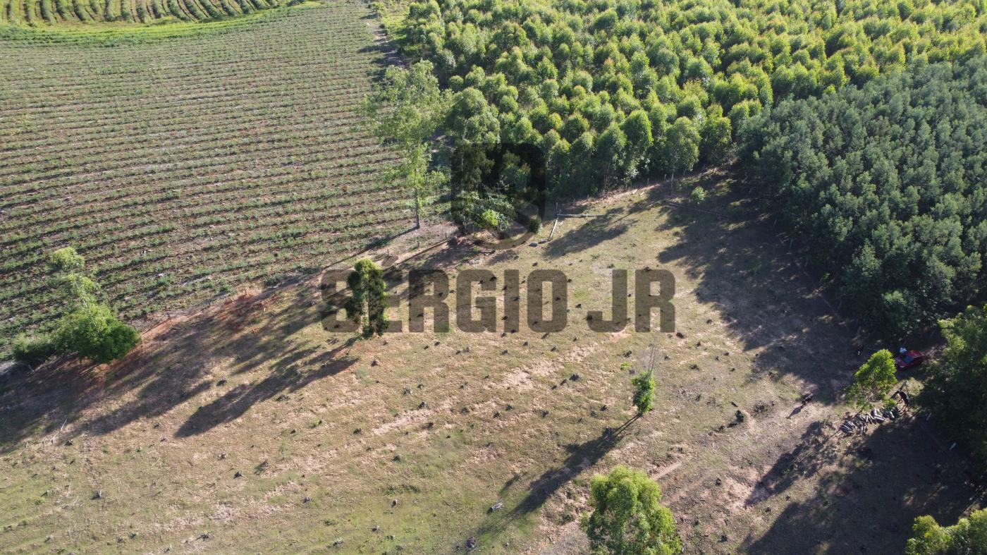 Loteamento e Condomínio à venda, 1500m² - Foto 8