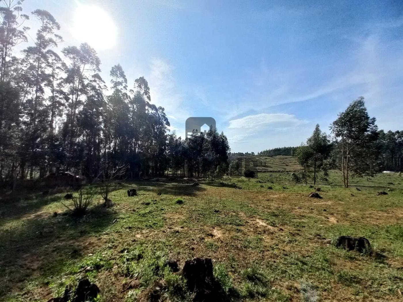 Loteamento e Condomínio à venda, 1500m² - Foto 20