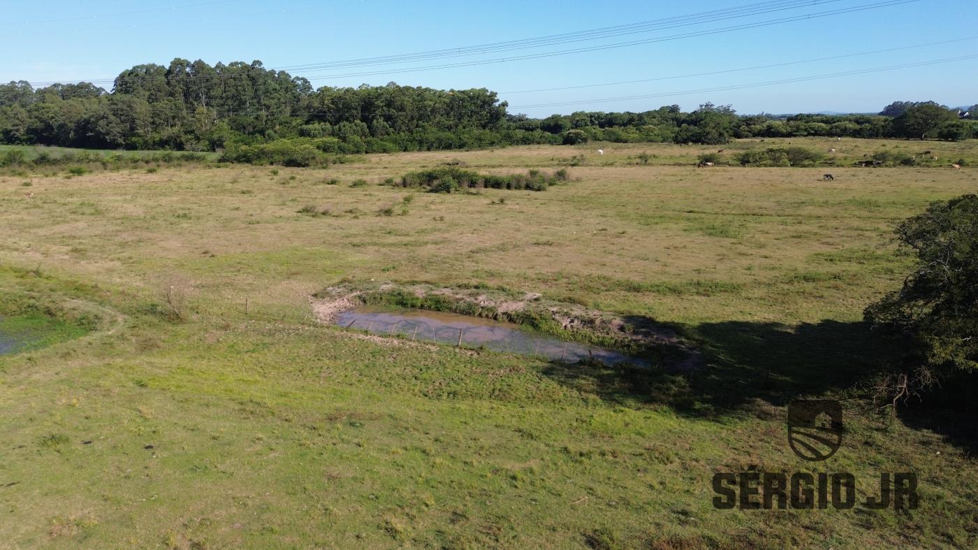 Chácara à venda com 2 quartos, 519546m² - Foto 7