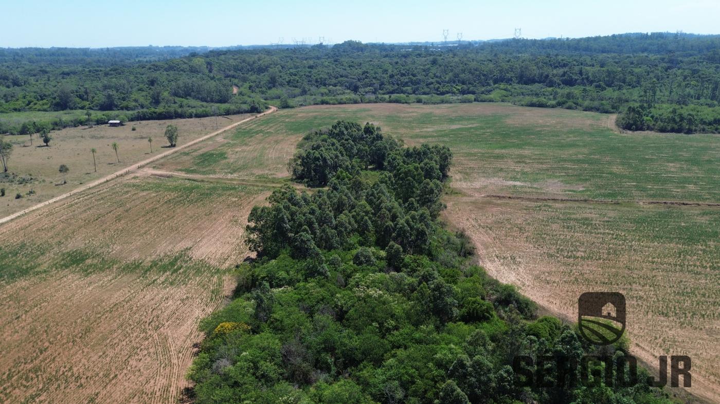 Chácara à venda com 1 quarto, 1495400m² - Foto 3