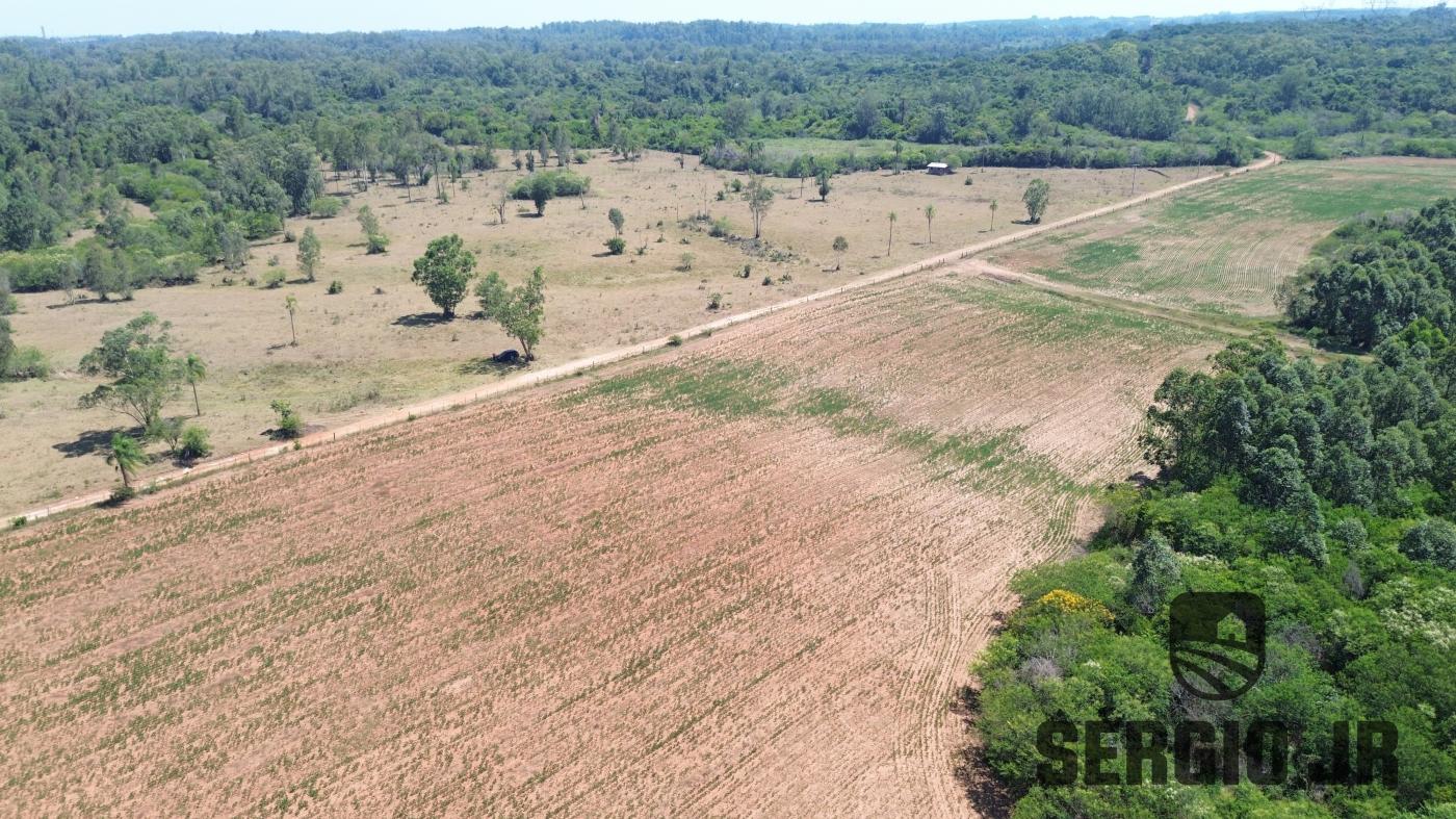 Chácara à venda com 1 quarto, 1495400m² - Foto 4