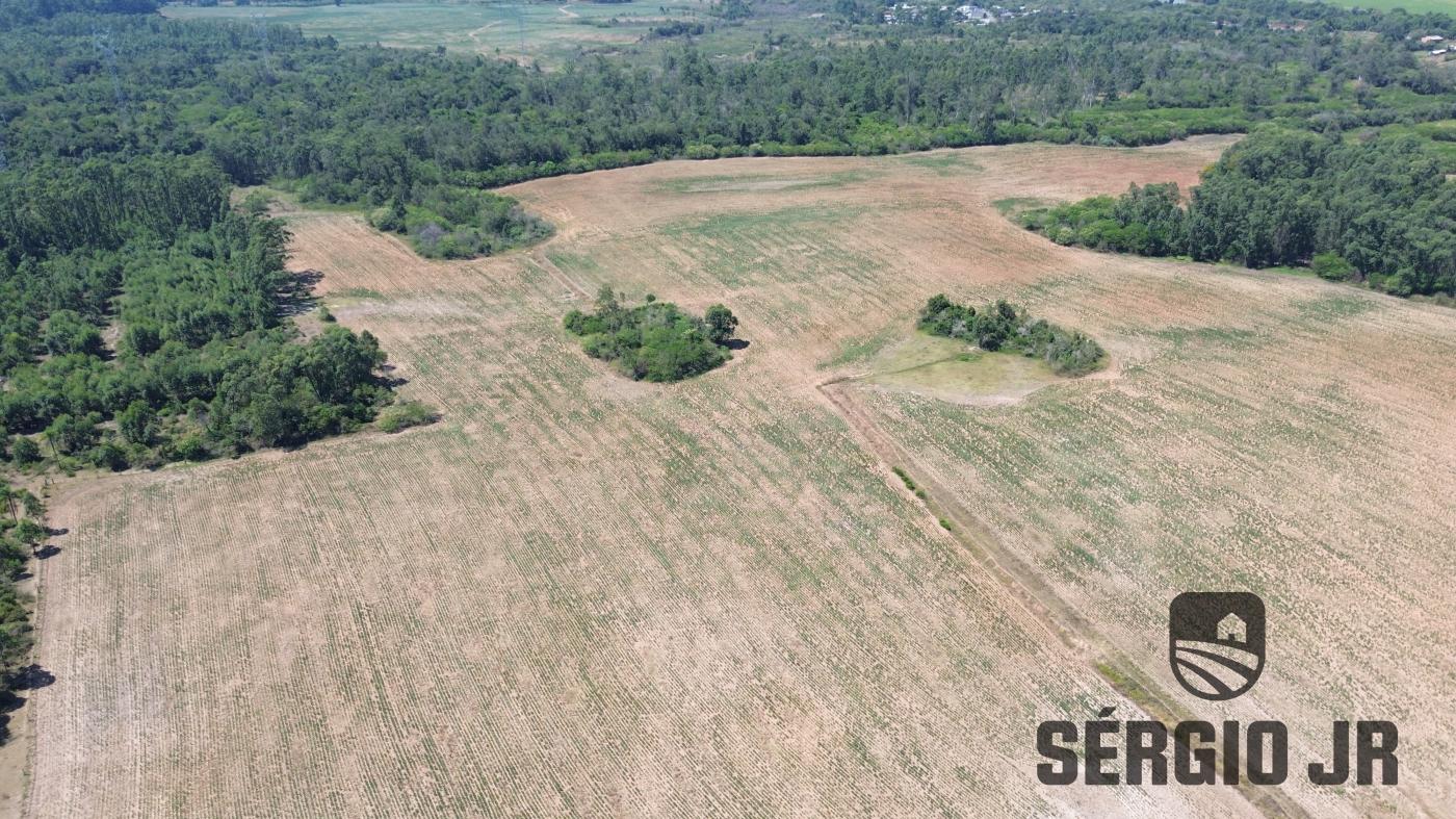 Chácara à venda com 1 quarto, 1495400m² - Foto 8