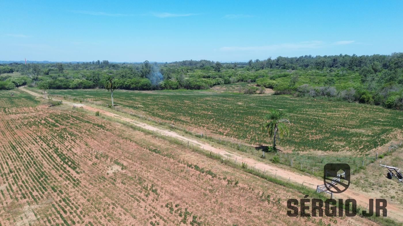 Chácara à venda com 1 quarto, 1495400m² - Foto 14